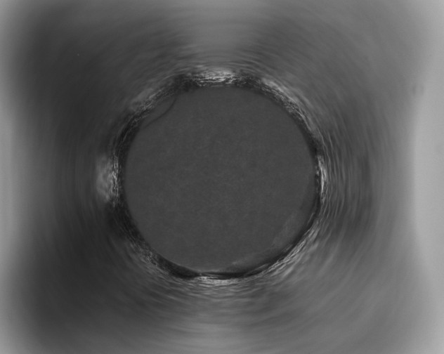 X0000094951394200711291404