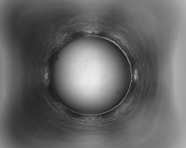 X0000094951396200711291404