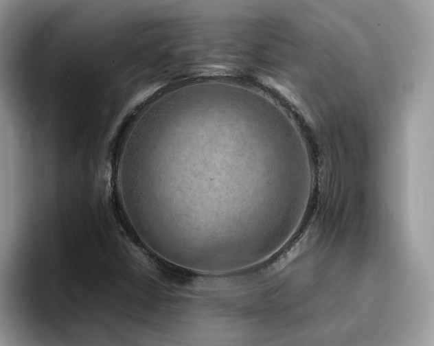 X0000094951402200711291404