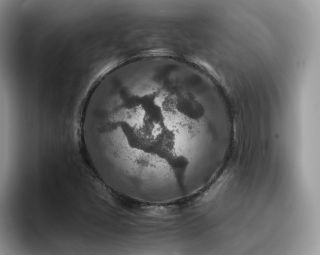 X0000094951405200711291404