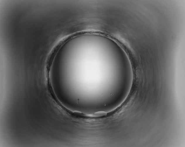 X0000094951408200711291404