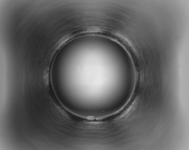 X0000094951409200711291404