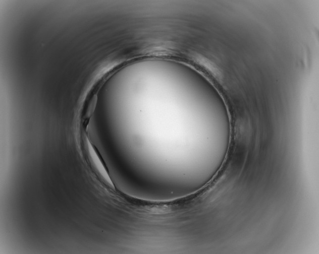 X0000094951410200711291404