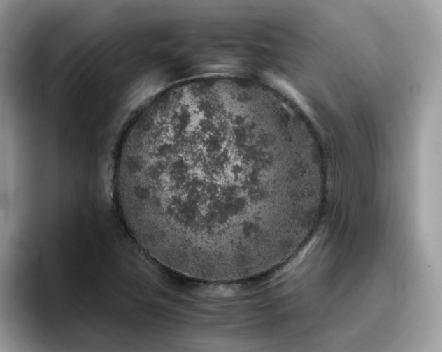 X0000094951411200711291404