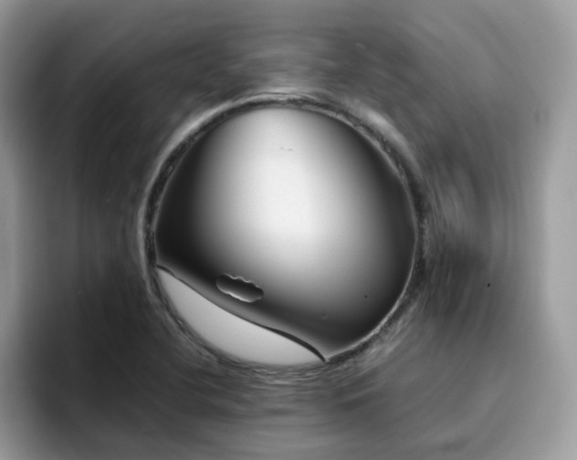 X0000094951412200711291404