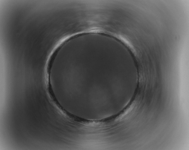 X0000094951414200711291404