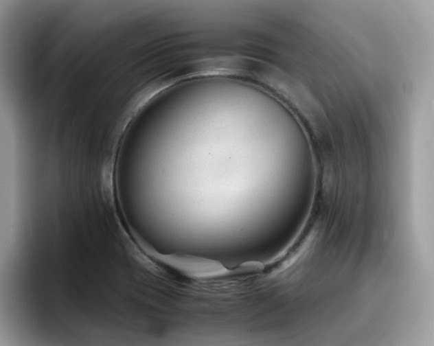 X0000094951417200711291404