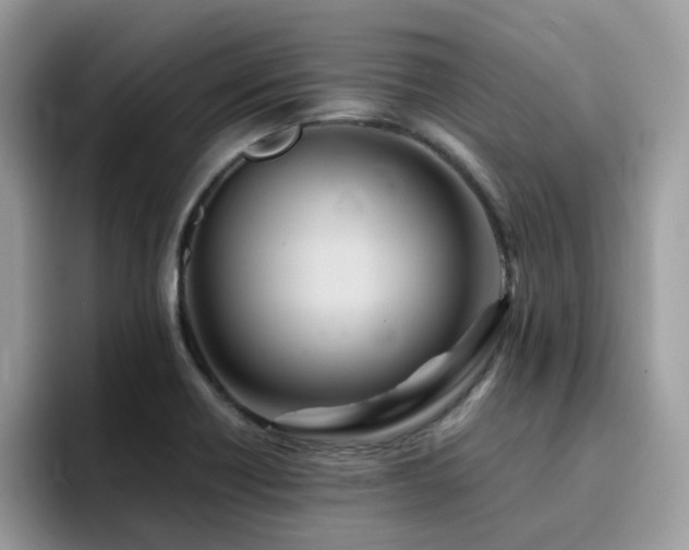 X0000094951418200711291404