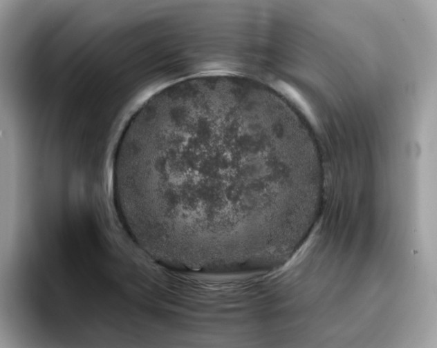 X0000094951419200711291404
