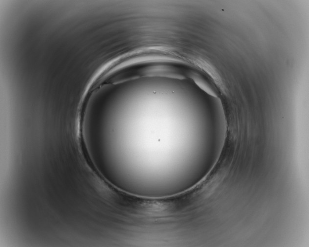 X0000094951420200711291404
