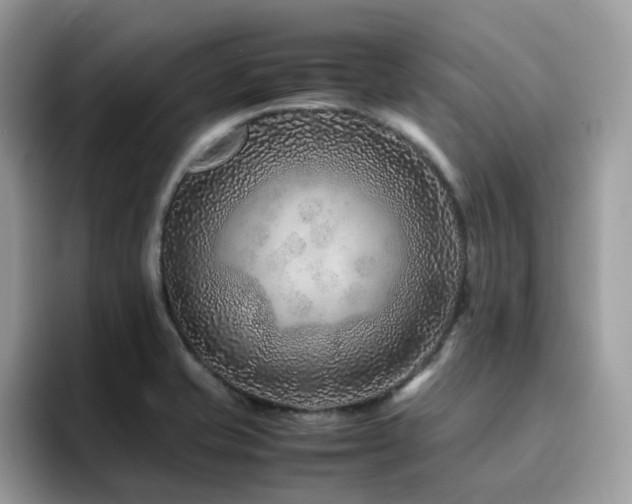X0000094951421200711291404