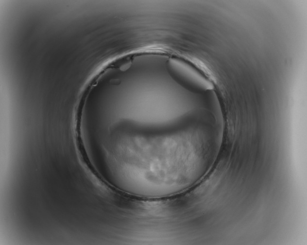 X0000094951422200711291404