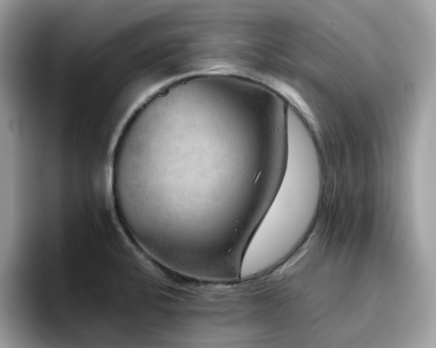 X0000094951424200711291404