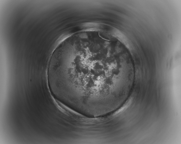X0000094951425200711291404
