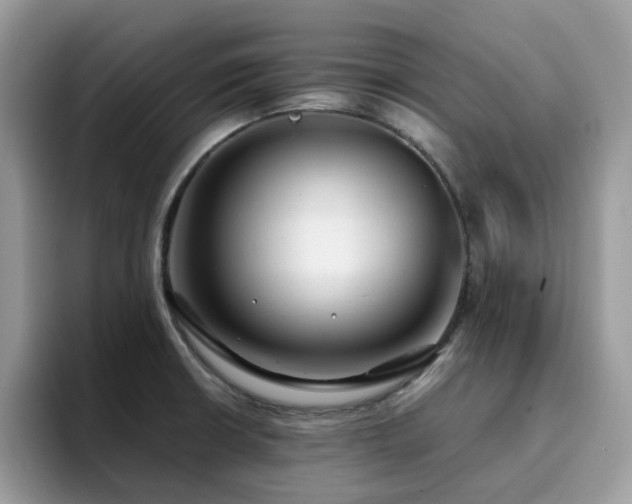 X0000094951426200711291404