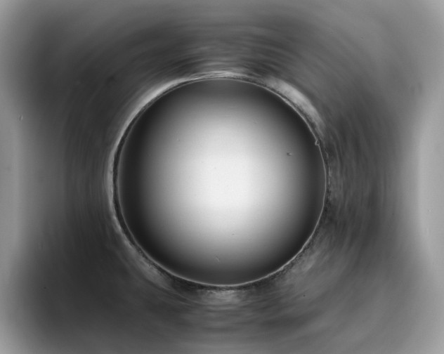 X0000094951431200711291404