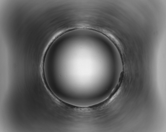 X0000094951432200711291404