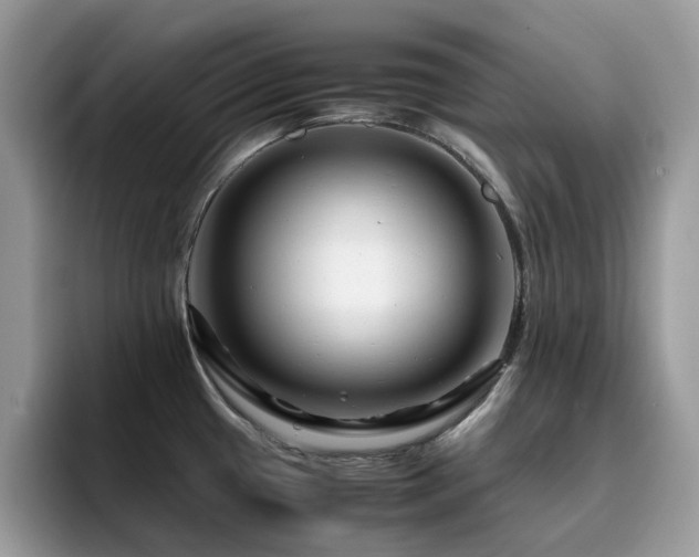 X0000094951433200711291404