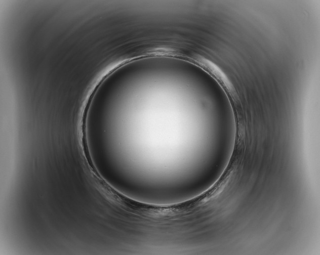 X0000094951435200711291404