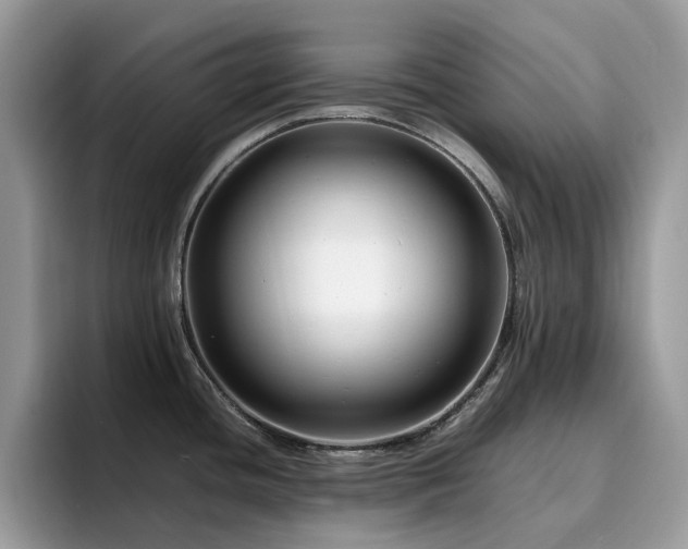 X0000094951436200711291404