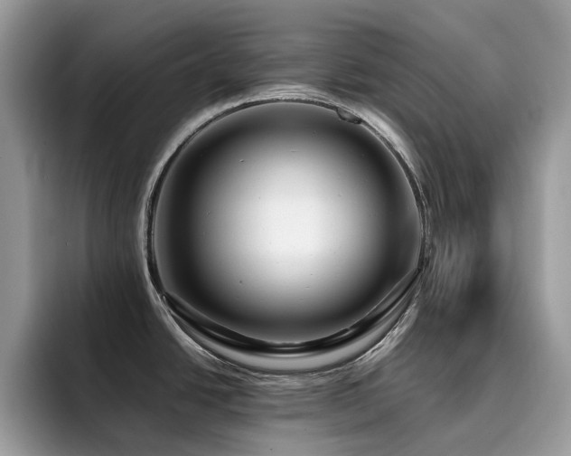X0000094951438200711291404