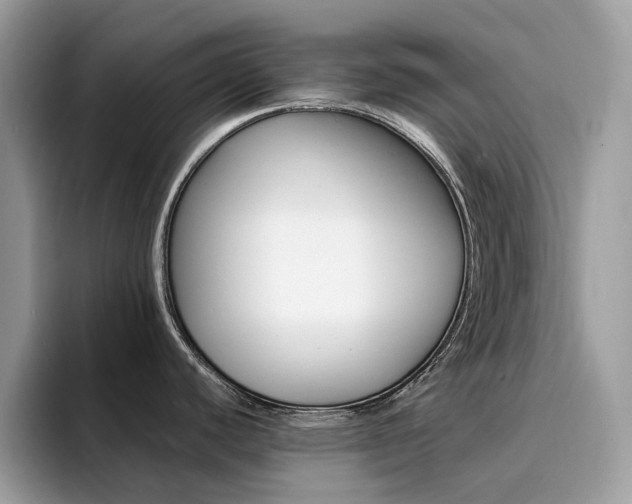 X0000094951440200711291404