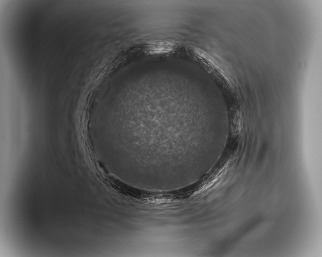 X0000094951441200711291404