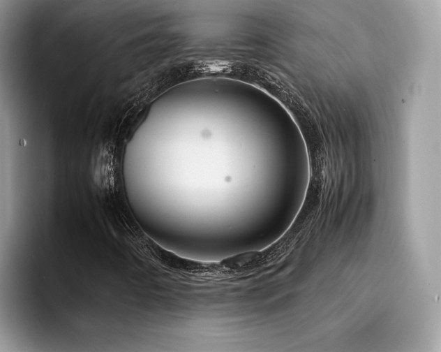 X0000094951442200711291404
