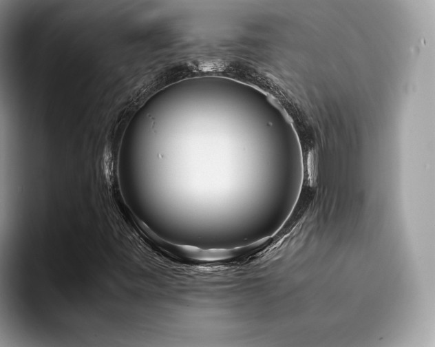 X0000094951443200711291404
