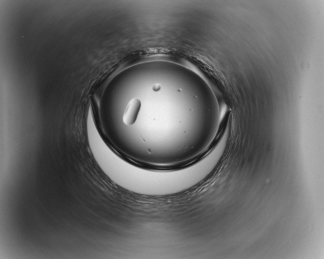 X0000094951444200711291404