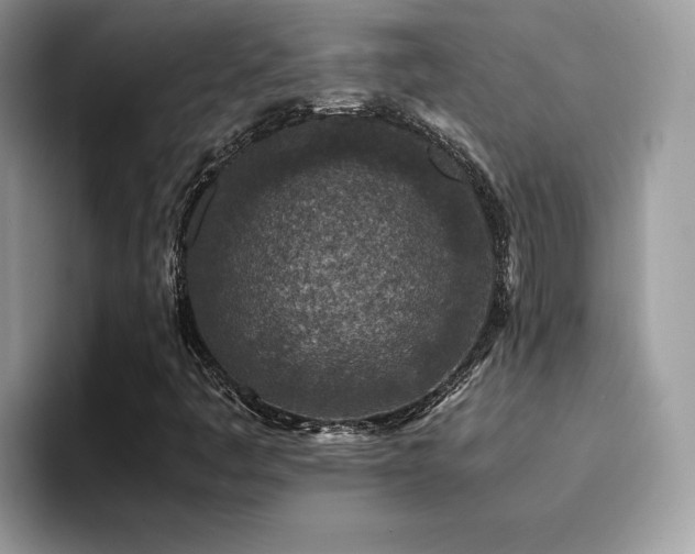 X0000094951445200711291404