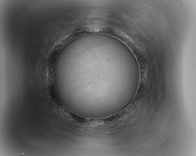 X0000094951446200711291404