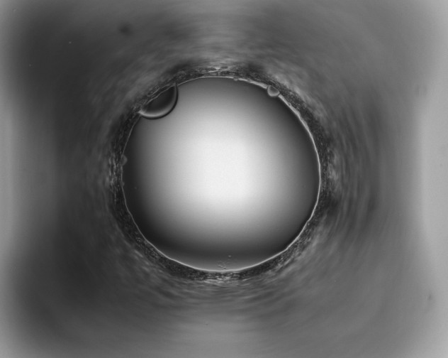 X0000094951447200711291404
