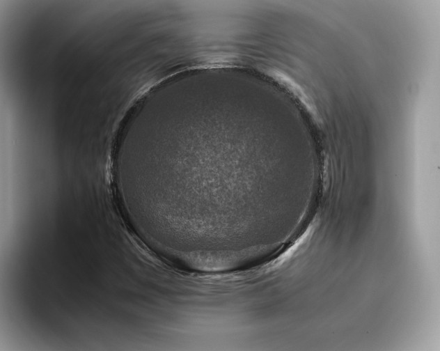 X0000094951449200711291404
