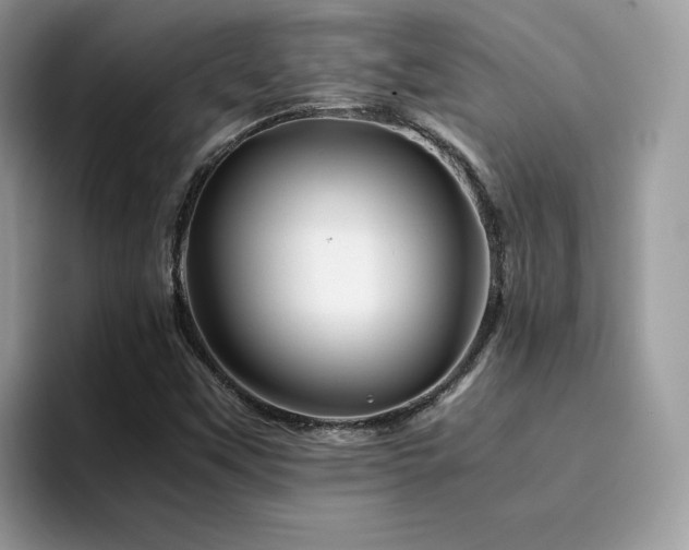 X0000094951451200711291404