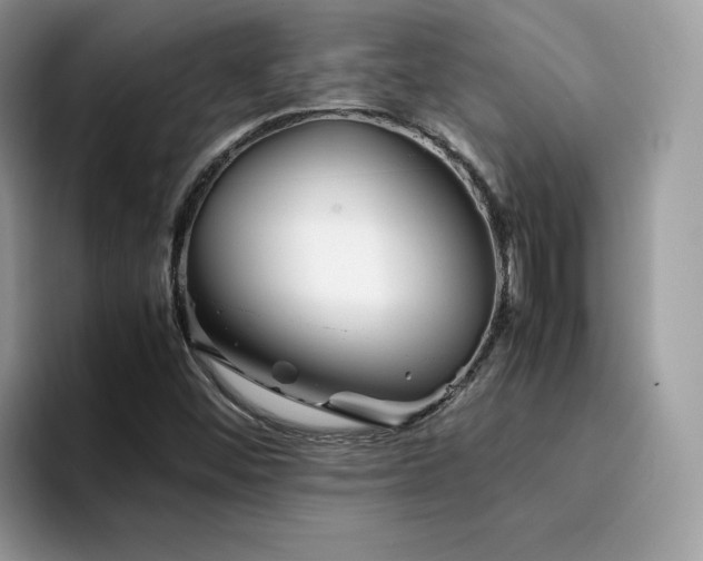 X0000094951452200711291404