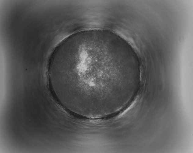 X0000094951453200711291404