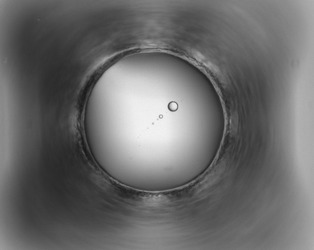 X0000094951454200711291404
