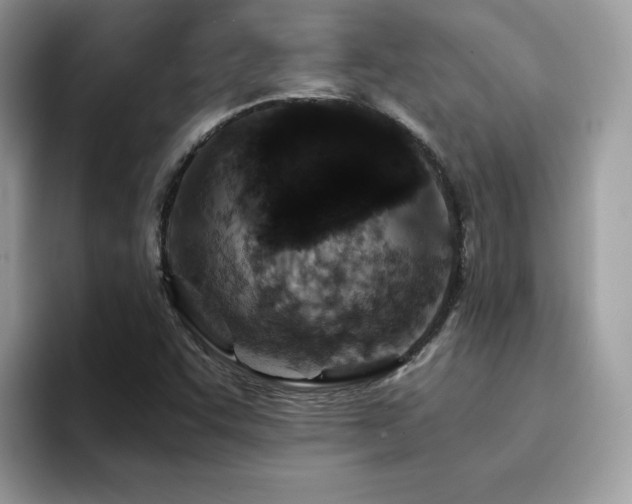 X0000094951455200711291404