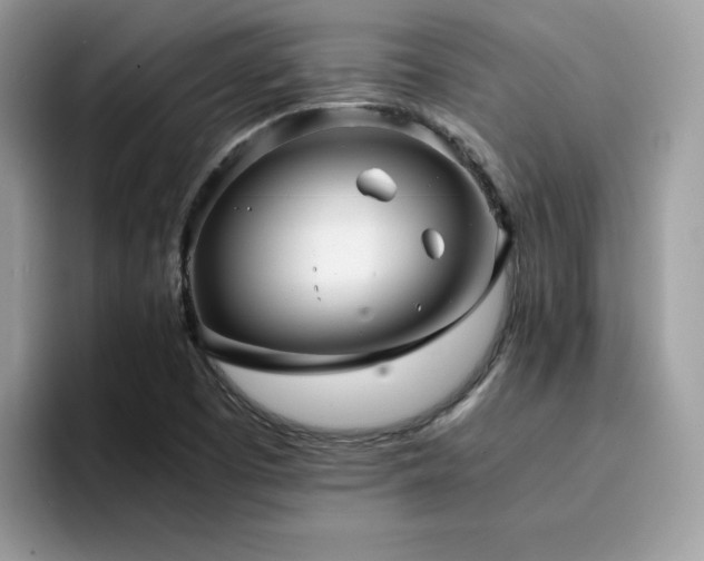 X0000094951457200711291404