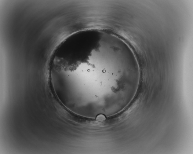 X0000094951459200711291404