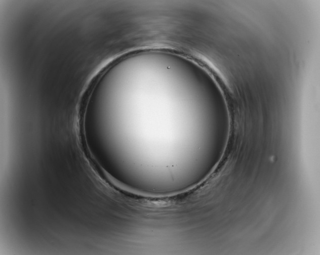 X0000094951460200711291404