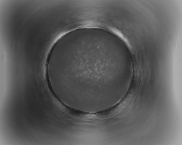 X0000094951463200711291403