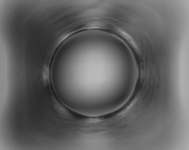 X0000094951465200711291403