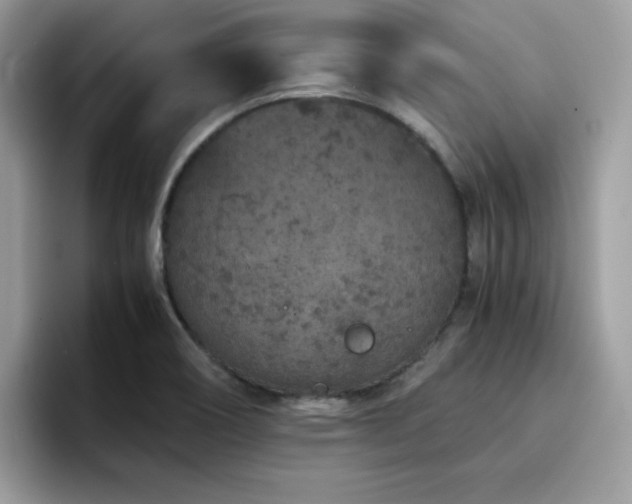 X0000094951466200711291403