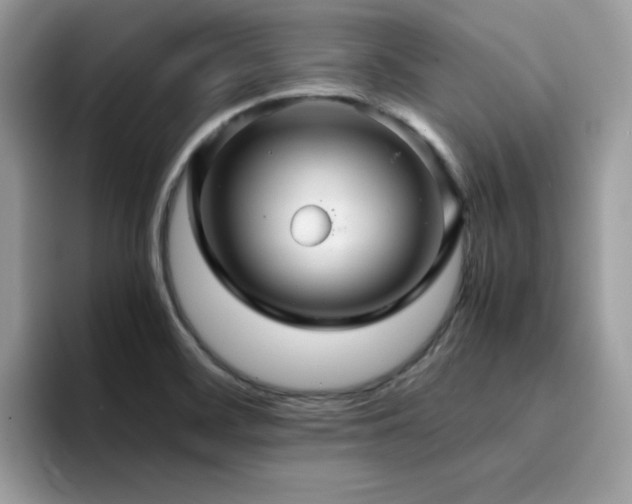 X0000094951468200711291403