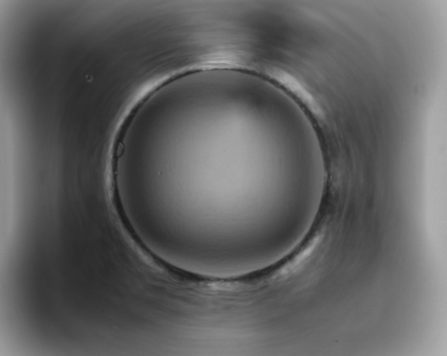 X0000094951469200711291403