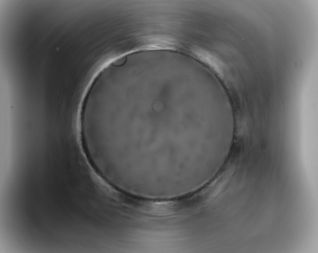 X0000094951471200711291403