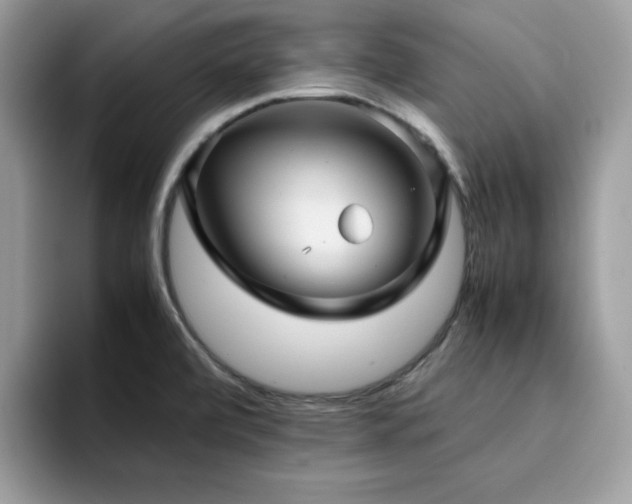 X0000094951472200711291403