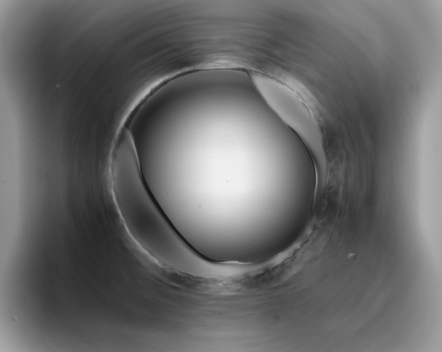 X0000094951476200711291403